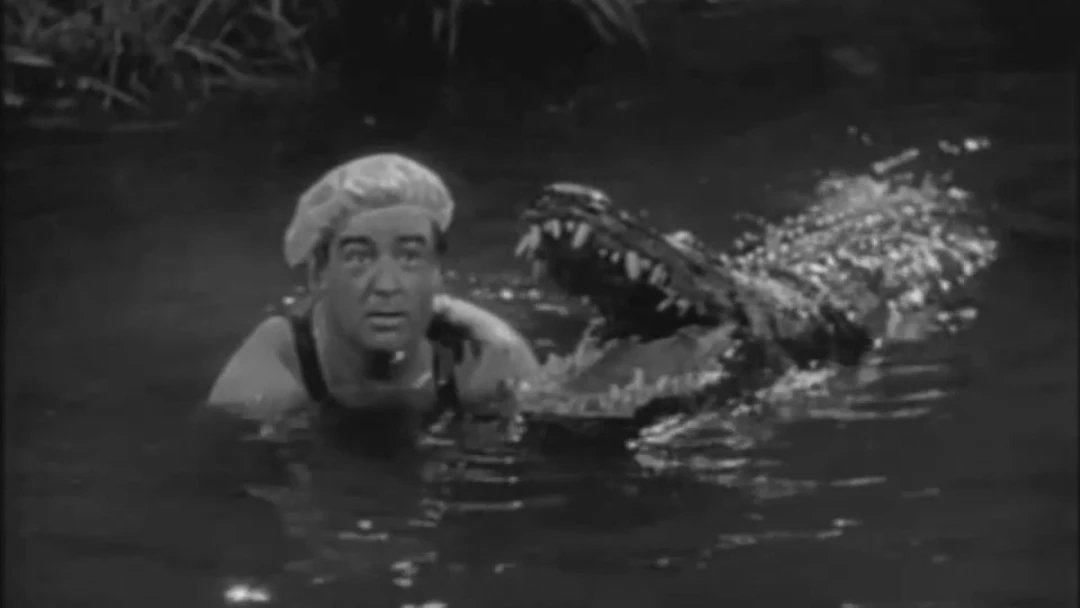 Abbott und Costello Verrücktes Afrika