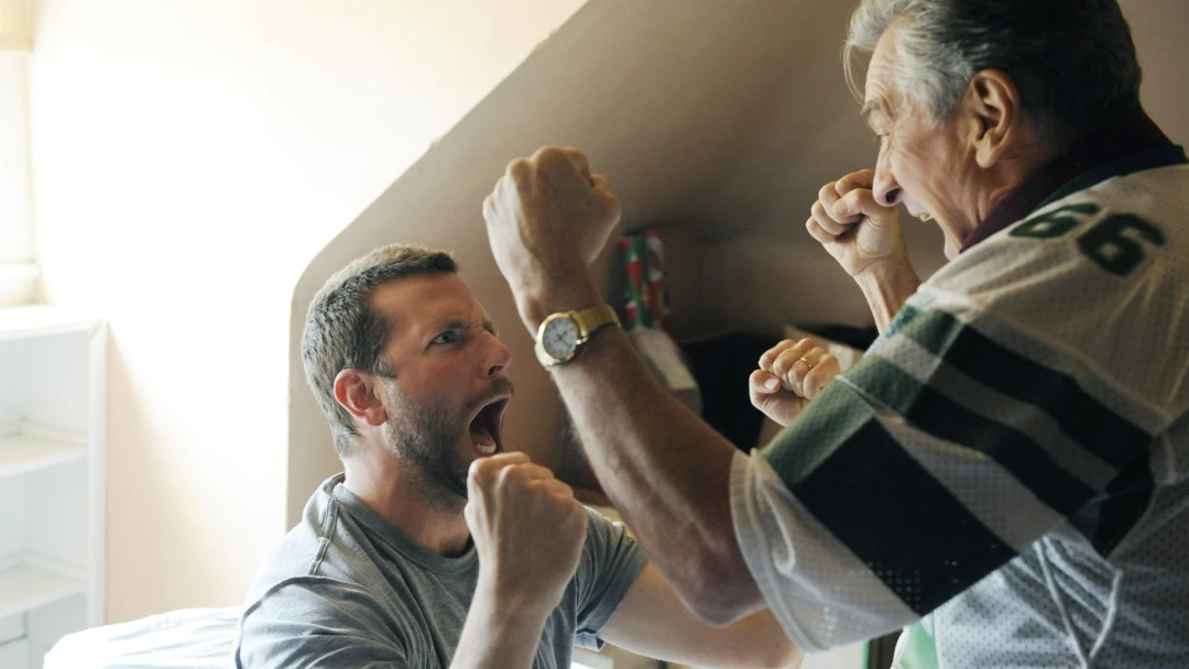 Il lato positivo - Silver Linings Playbook