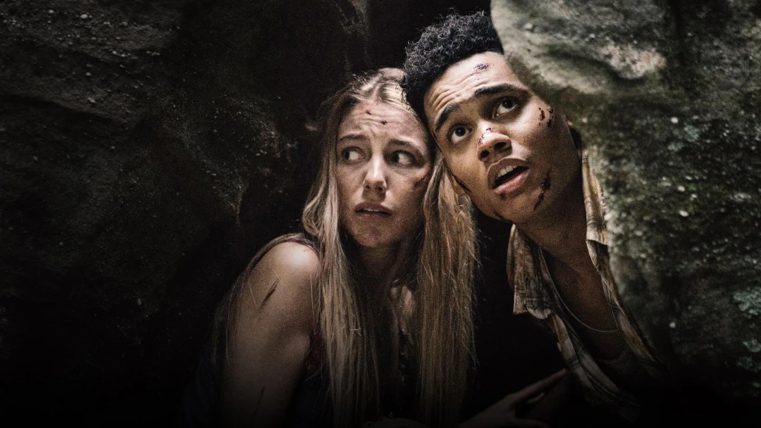 Wrong Turn - The Foundation