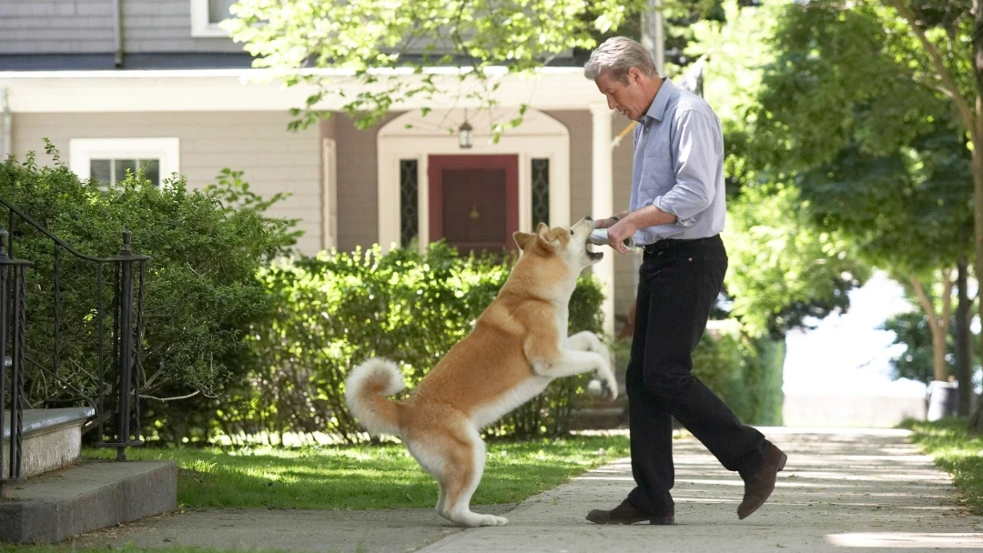 Siempre a tu lado (Hachiko)