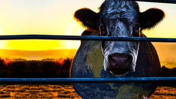 Cowspiracy - Klíč k udržitelnosti