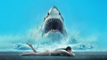 Shark Warning