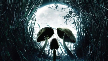Cabeza de muerte (Fungus Mortalitas)