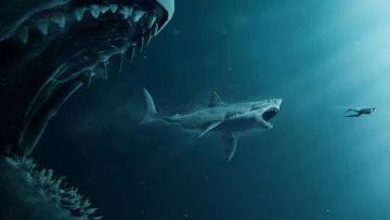 Shark - Il primo squalo