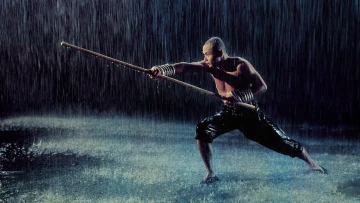 Die 36 Kammern der Shaolin