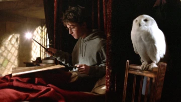 Harry Potter und der Gefangene von Askaban
