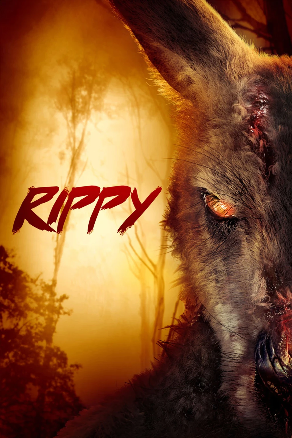 Rippy - Das Killerkänguru