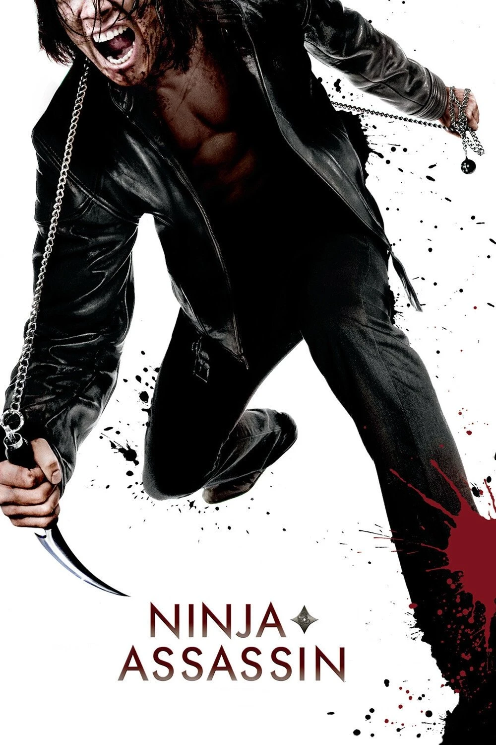 Ninja'nın İntikamı