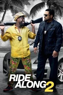 Ride Along: Next Level Miami