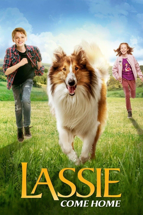 Lassie palaa kotiin